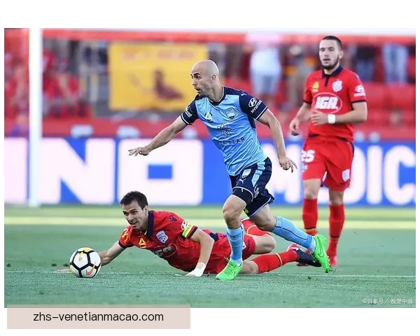 阿德莱德眼镜蛇后备队力克阿德莱德SC后备队取得三比一胜利 阿德莱德眼镜蛇后备队力克阿德莱德SC后备队取得三比一胜利